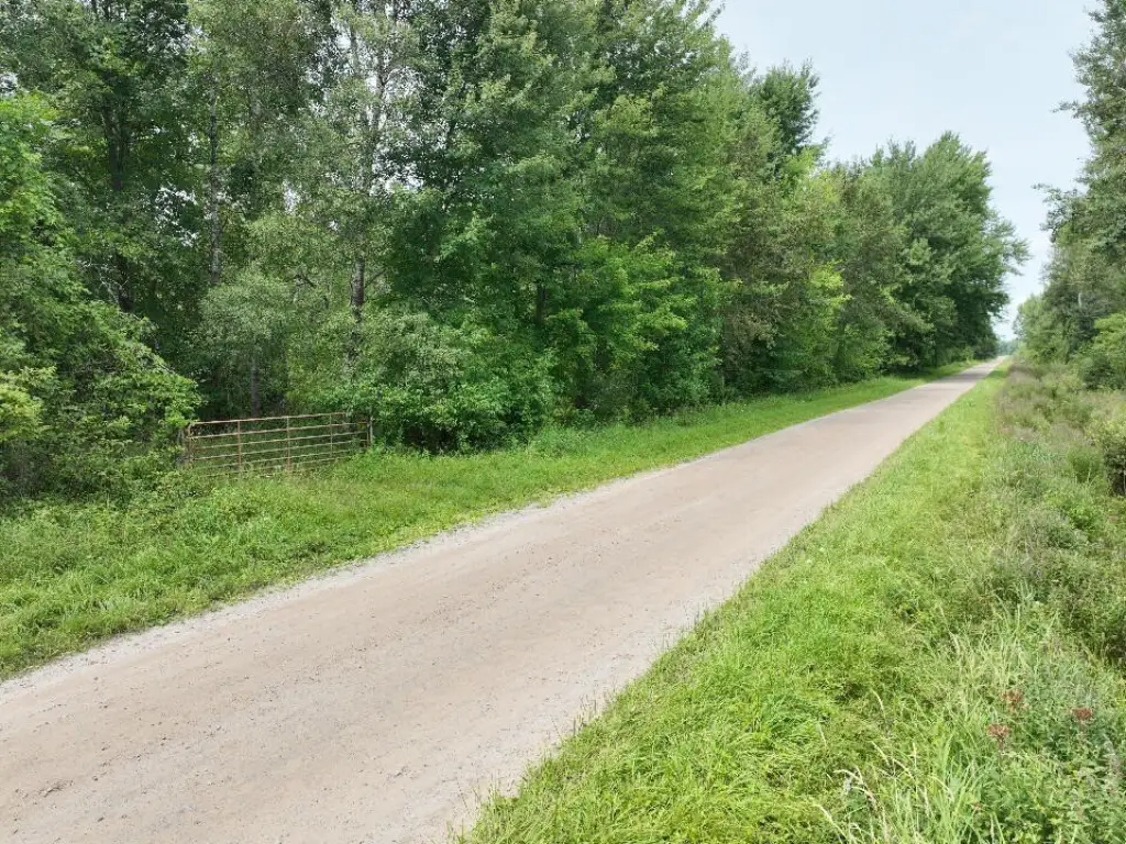 Picture 27
