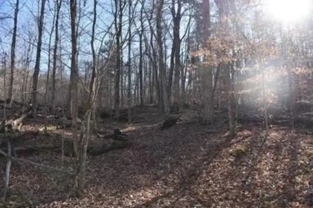 Picture 4
