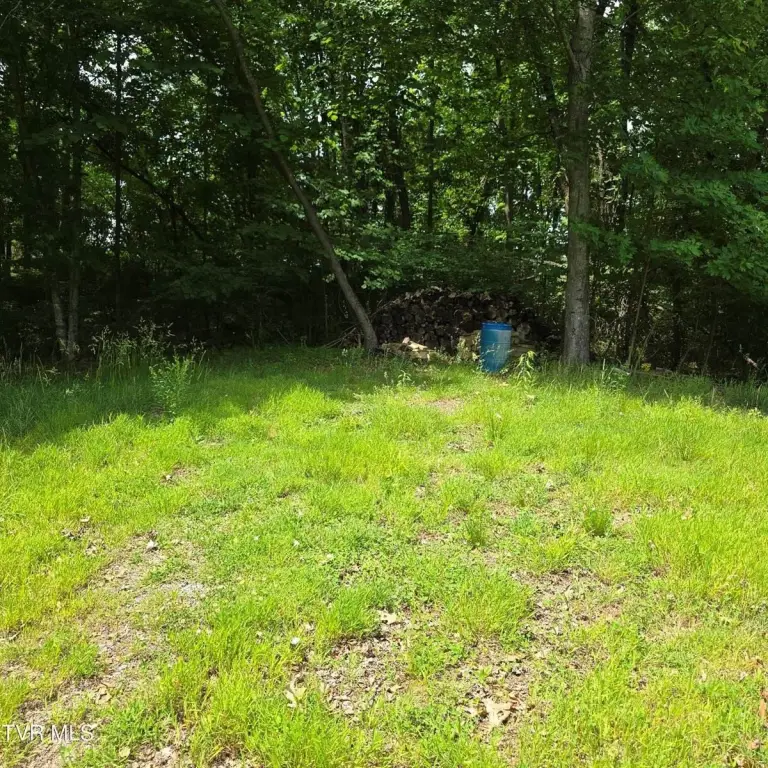 Picture 18