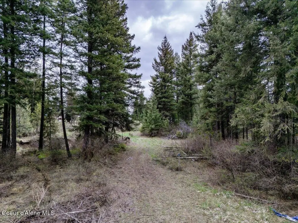 Picture 19