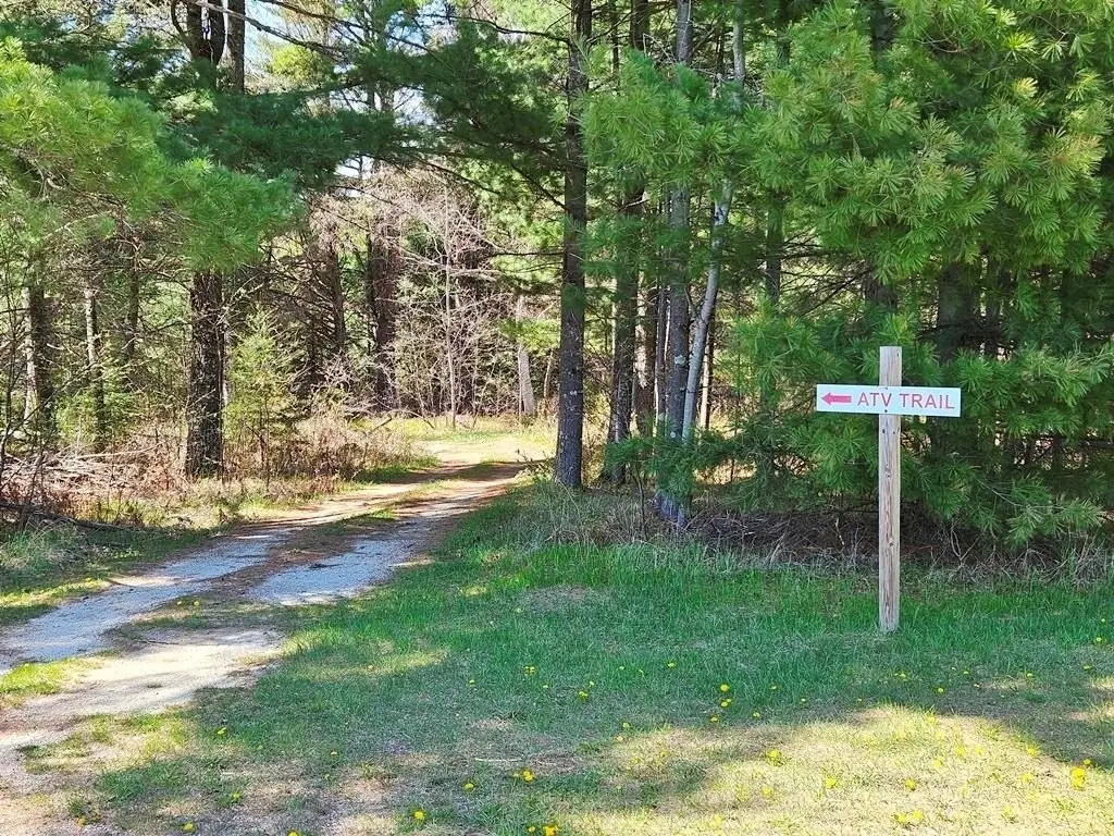 Picture 30