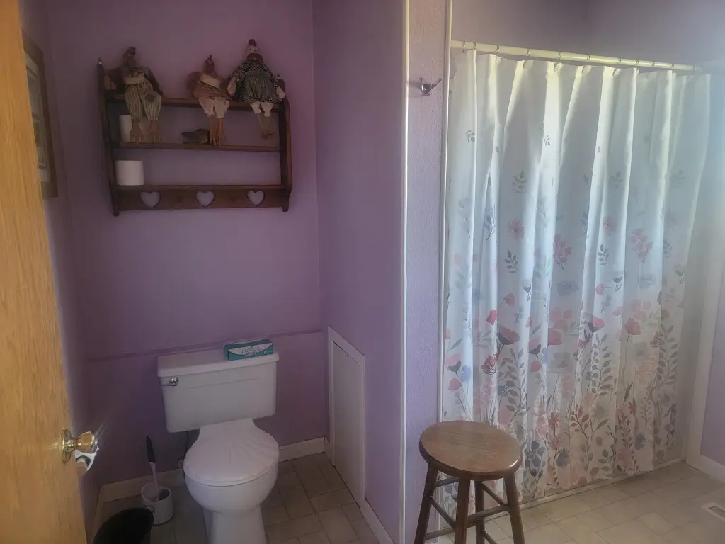 Picture 14