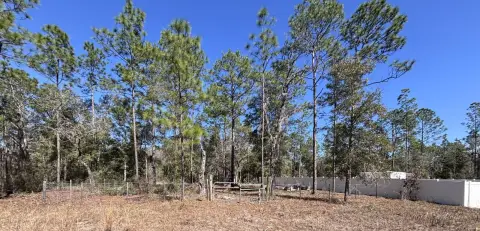 Cleared Quarter-Acre Lot Williston, FL