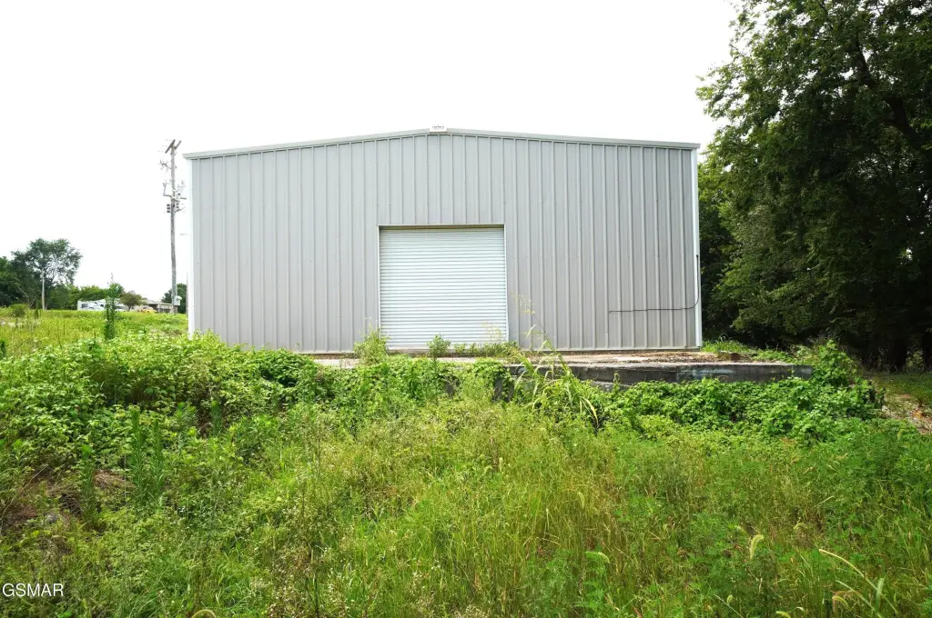 Picture 6