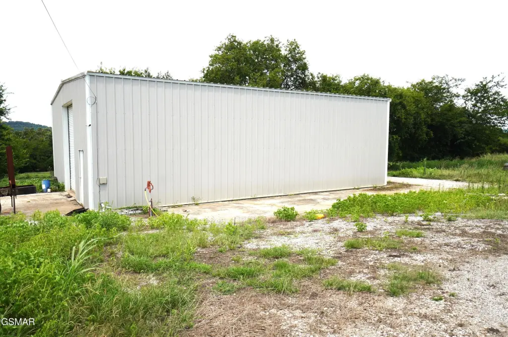 Picture 36