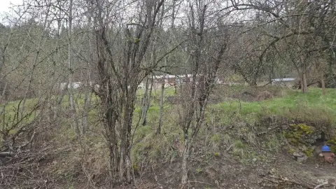 Buildable Land in Peck, Idaho