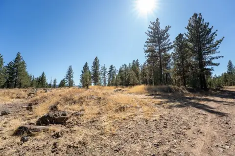 Land Near Lake Davis, Portola