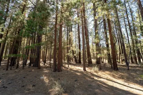 Land in Portola near Lake