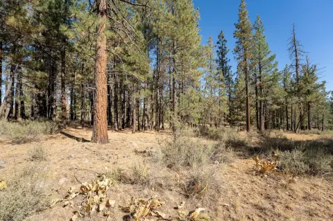 Land in Portola near Lake