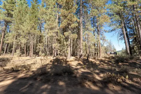 Land in Portola near Lake