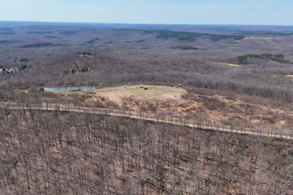 Picture 5