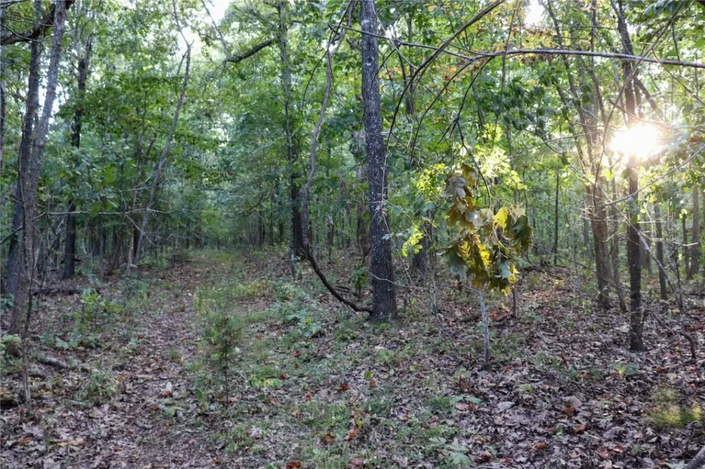 Picture 26