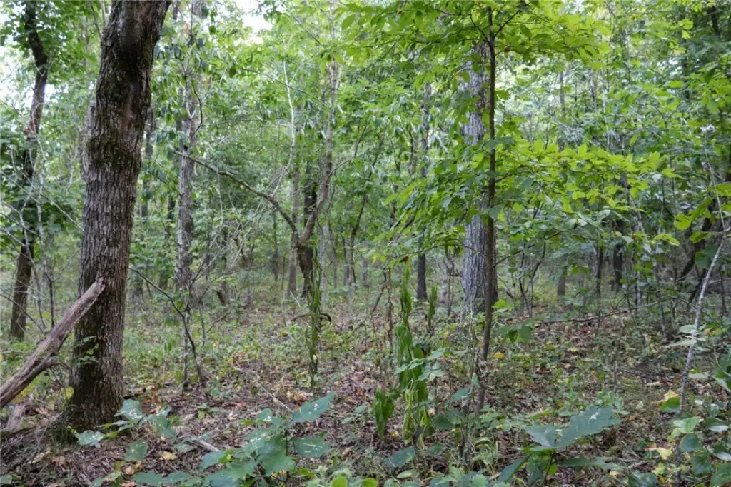 Picture 24