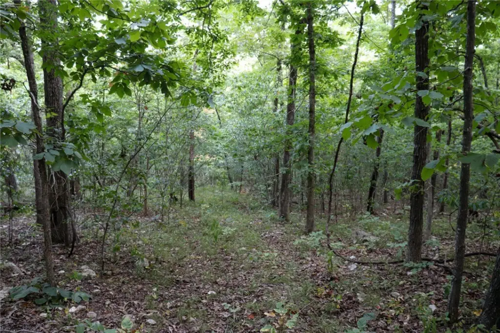 Picture 23