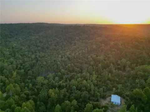 Wooded Hunting Land with Cabin