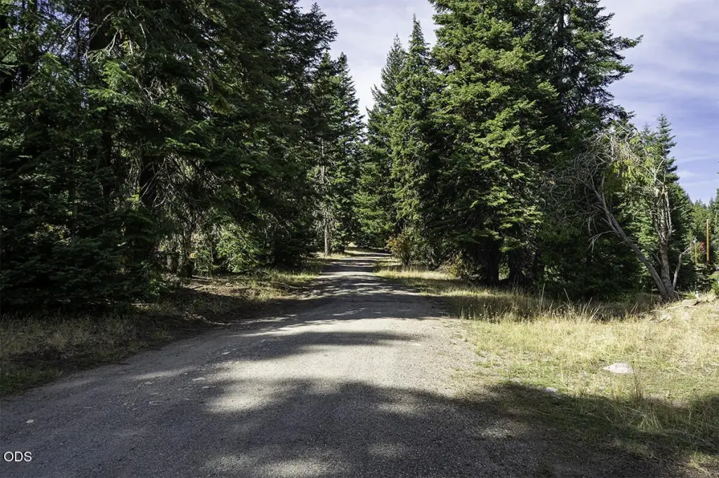 Picture 20