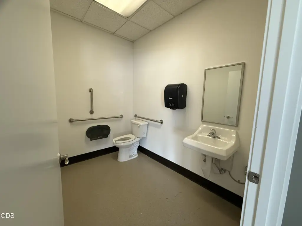 Picture 6