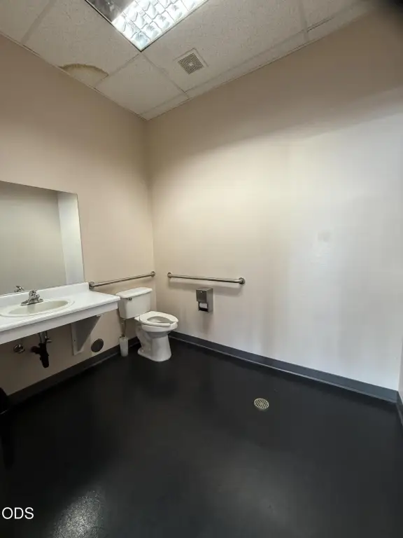 Picture 6