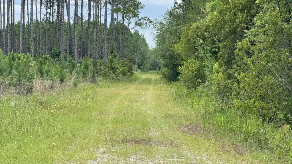 Picture 15