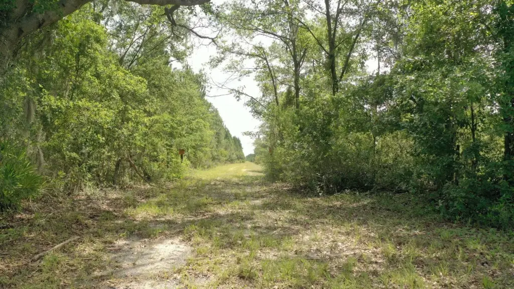 Picture 21