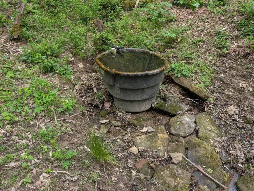 Picture 14