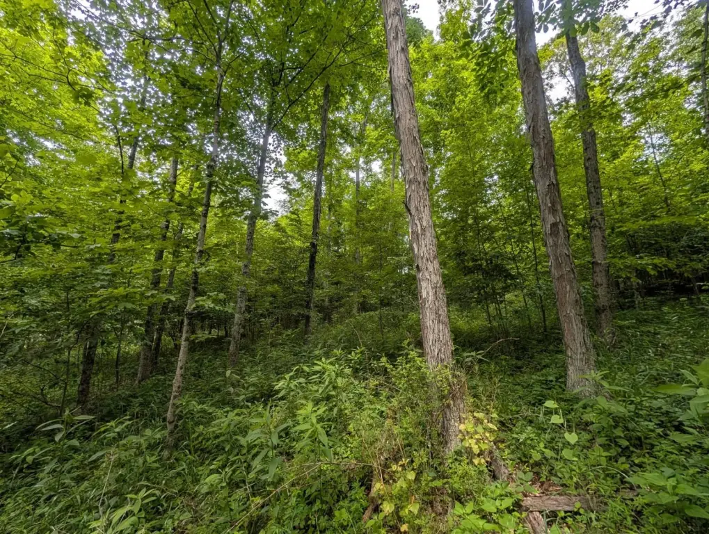 Picture 23