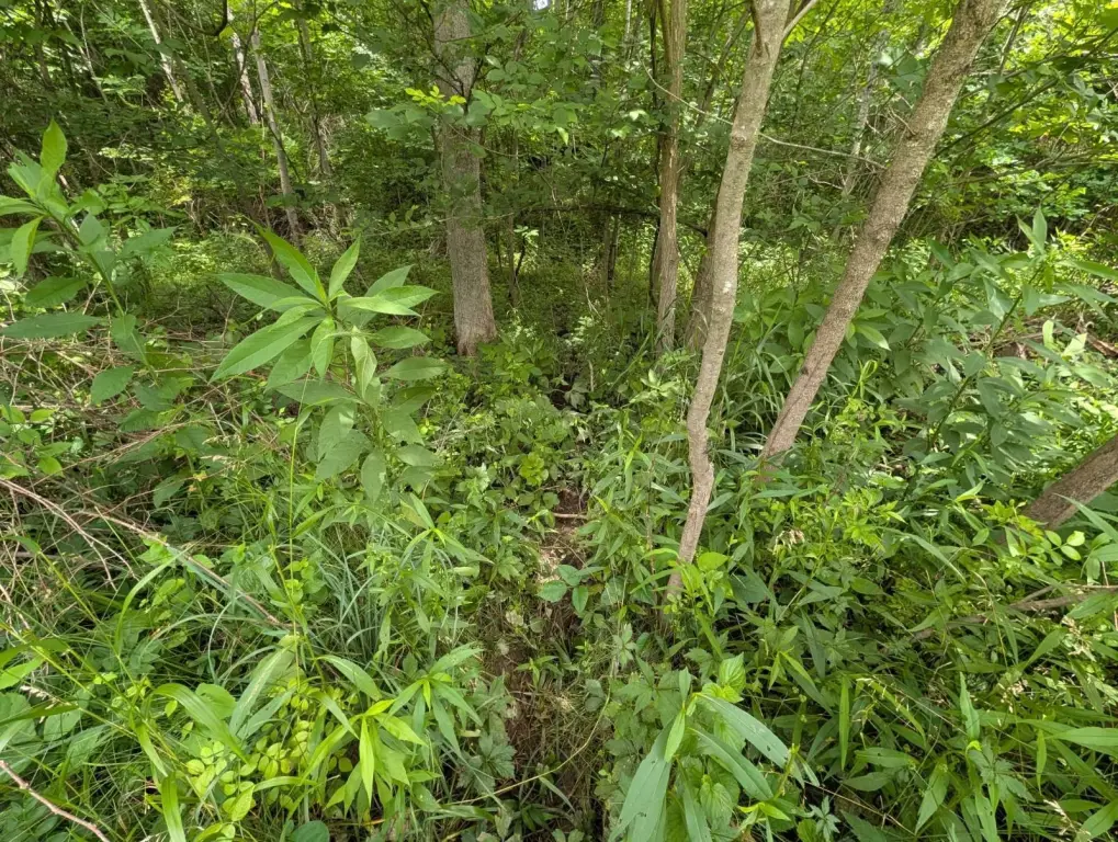 Picture 22