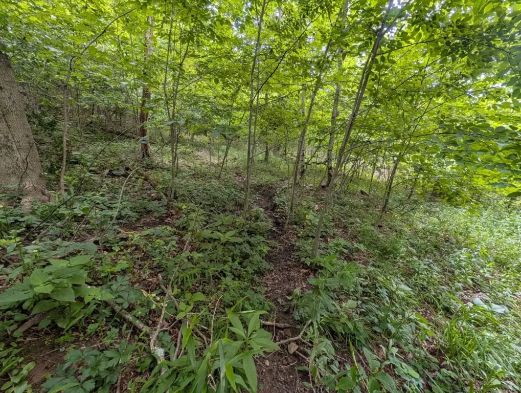 Picture 28
