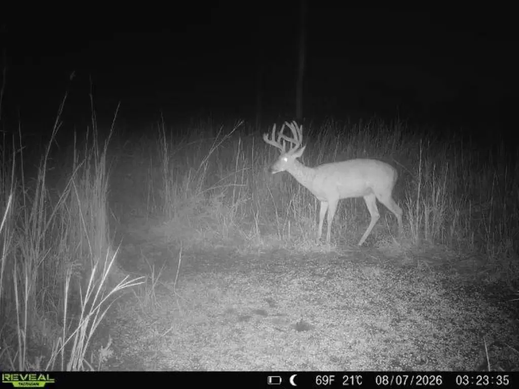 Picture 37