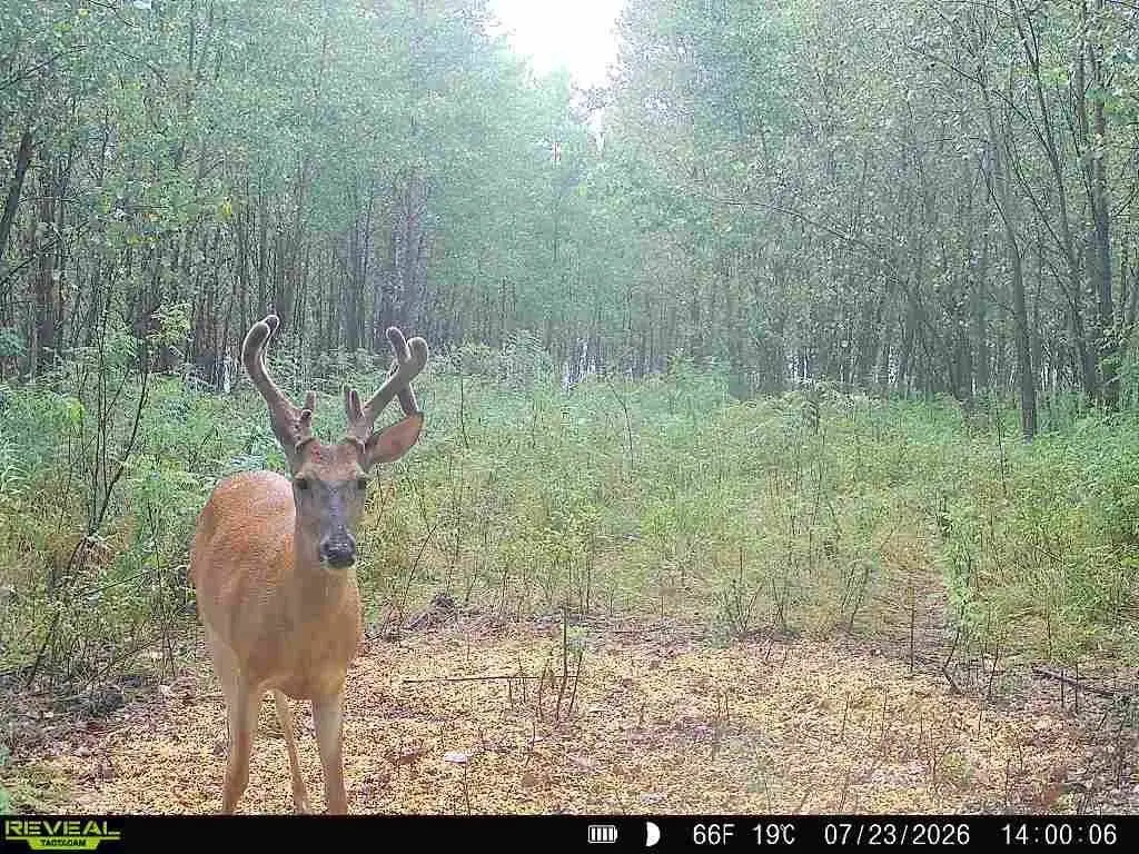 Picture 16