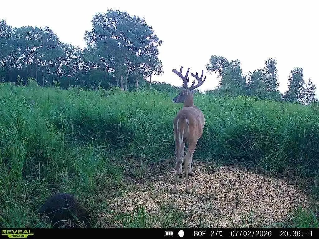 Picture 5