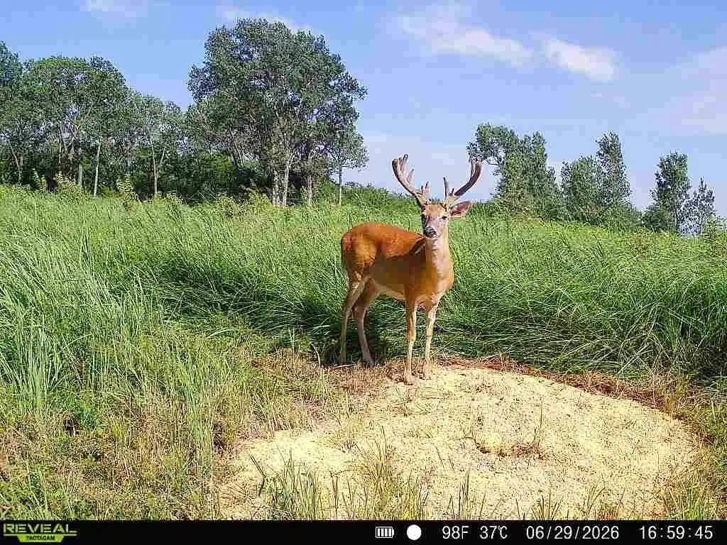 Picture 3