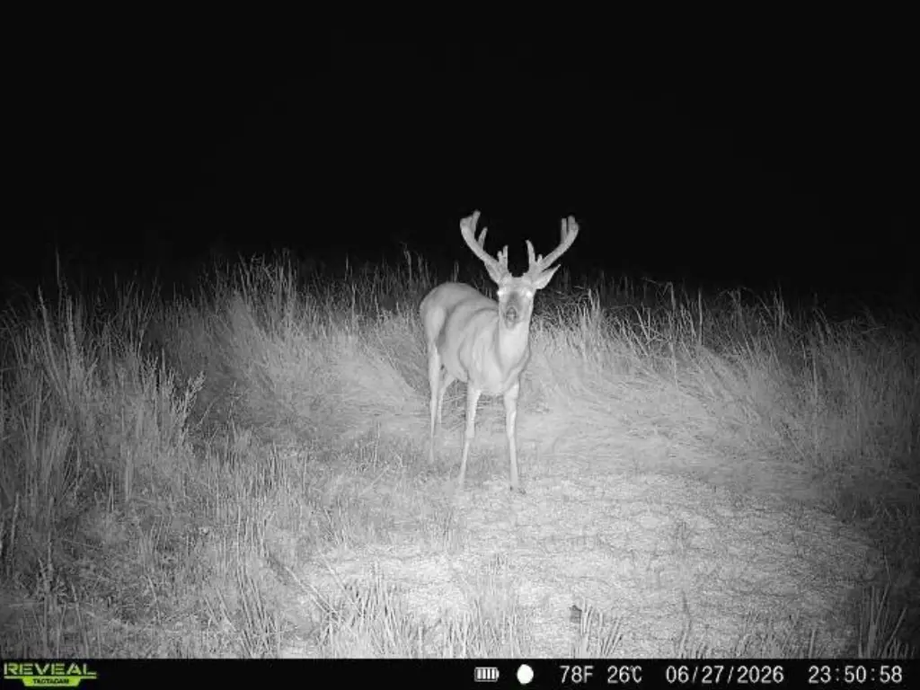 Picture 2
