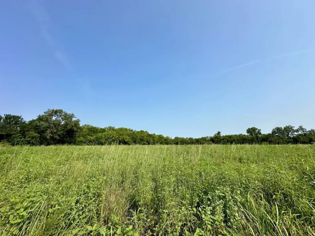 Picture 83