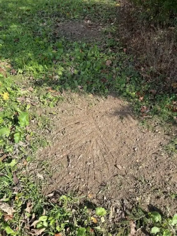 Picture 26