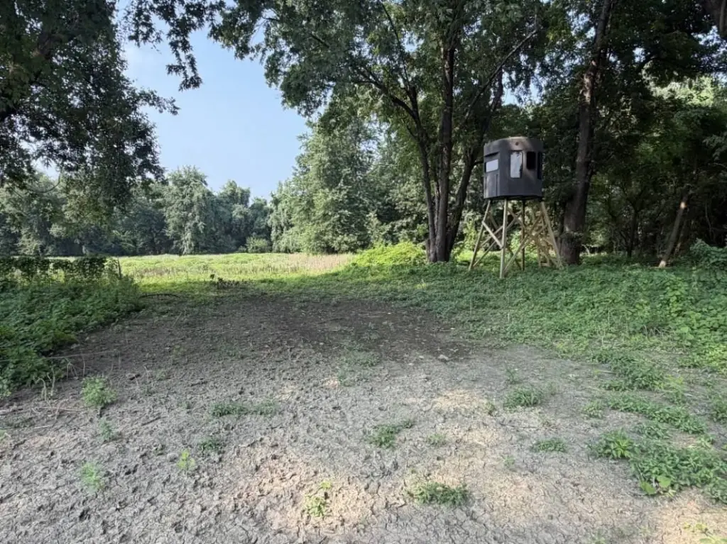 Picture 18
