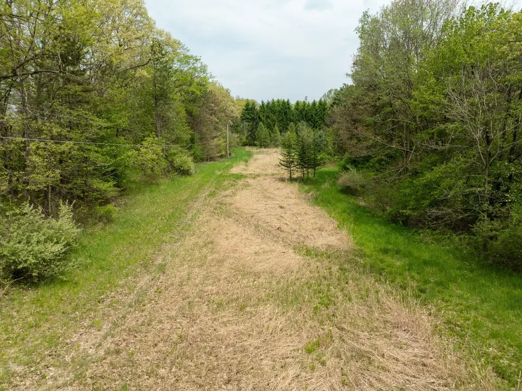 Picture 14
