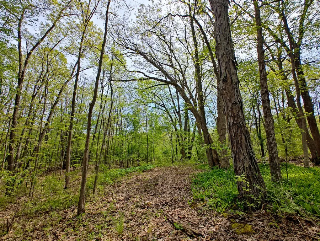 Picture 10