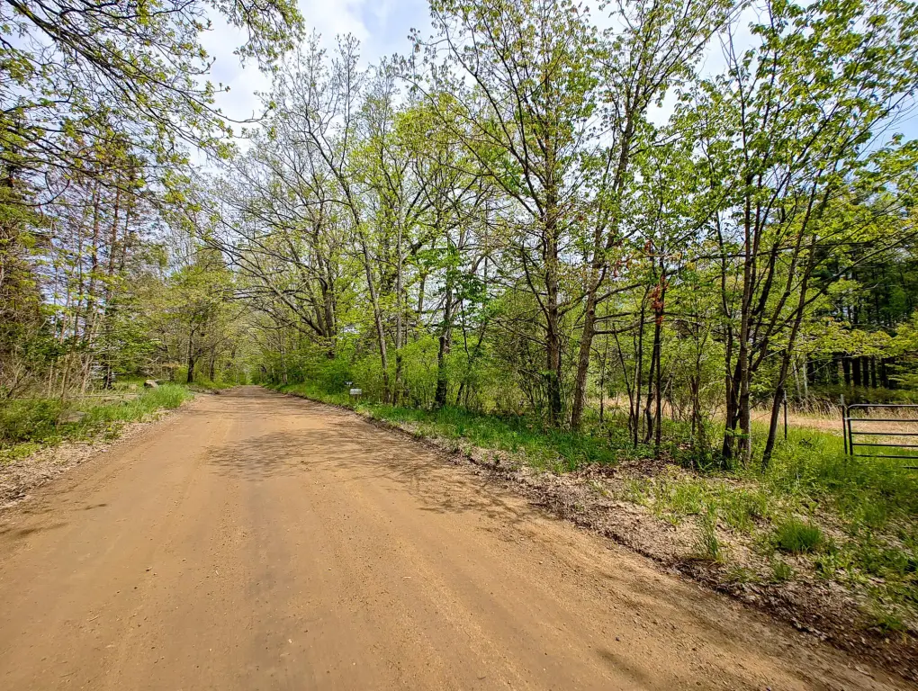 Picture 13