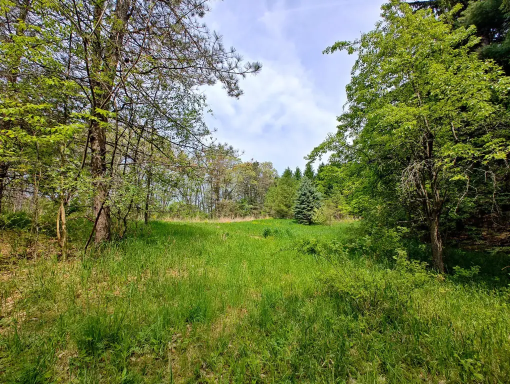 Picture 5
