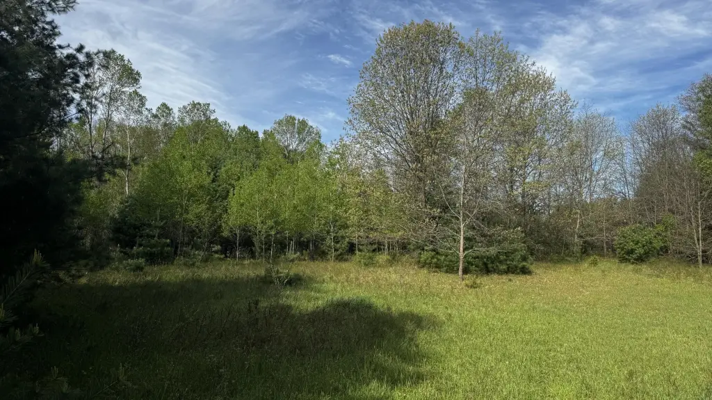 Picture 19