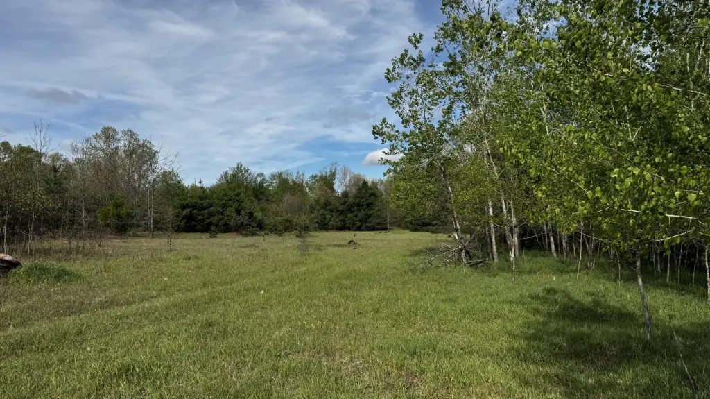 Picture 48