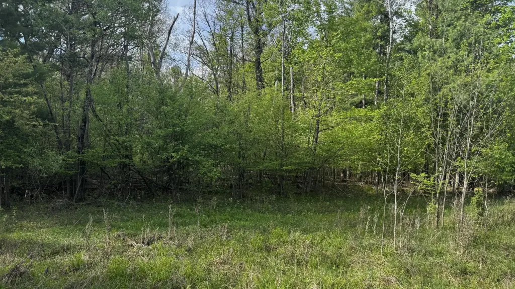 Picture 23
