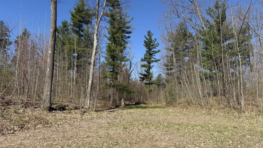 Picture 38