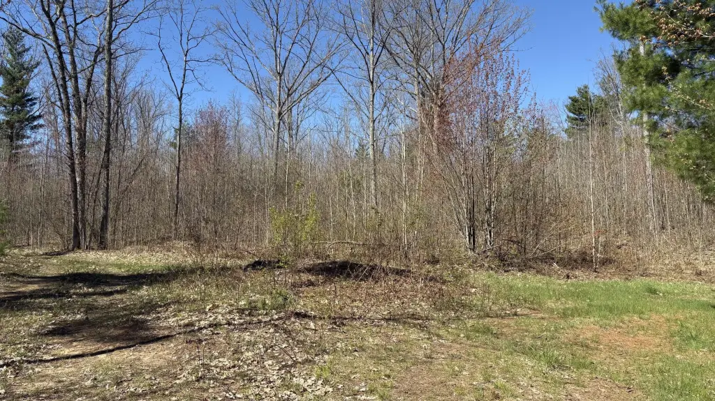 Picture 36