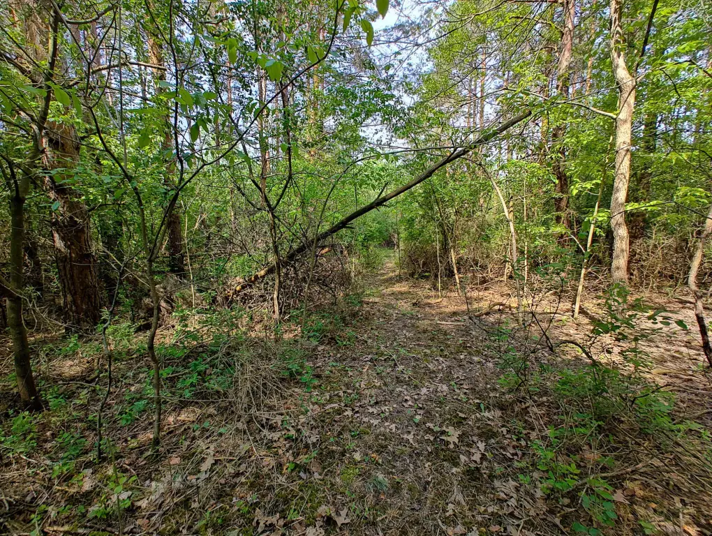 Picture 15