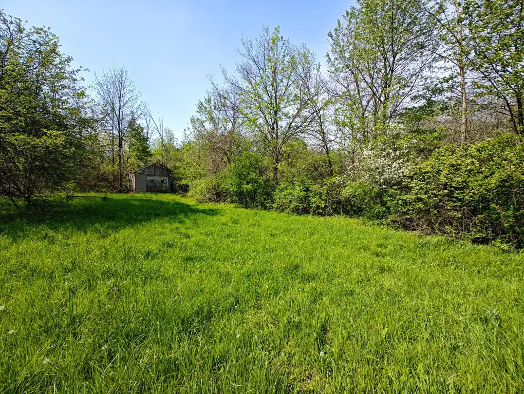Picture 7