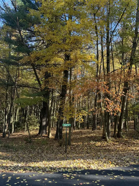 Picture 39