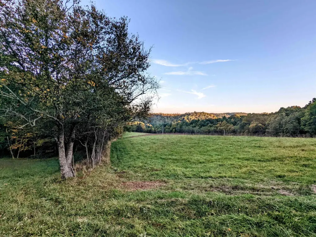 Picture 39