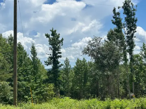 Laneville Acreage: Nature Lover's Paradise